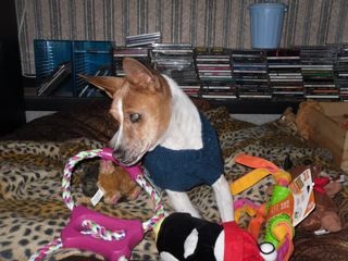 attachment_p_150927_7_as-always-billy-ends-up-with-all-the-toys.jpg