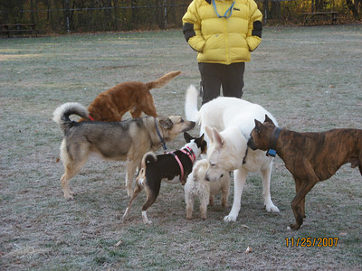 attachment_t_2507_1_lillie-and-friends-at-park.jpg