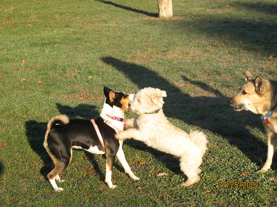 attachment_t_2507_2_lillie-and-oliver-at-park.jpg